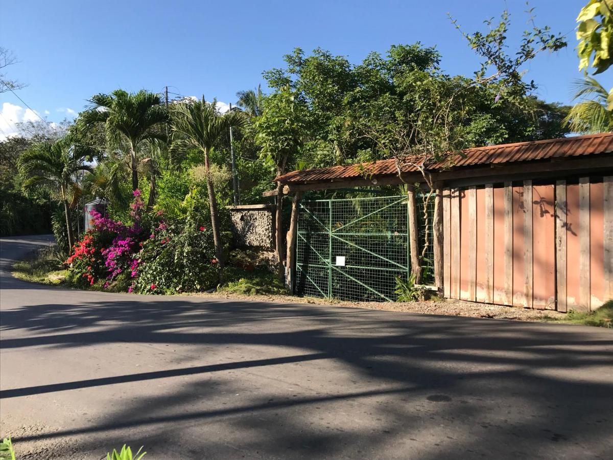 Flor De Paraiso Bungalows Montezuma Luaran gambar